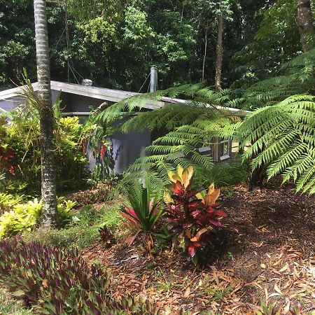 Honeybee House Villa Kuranda Dış mekan fotoğraf