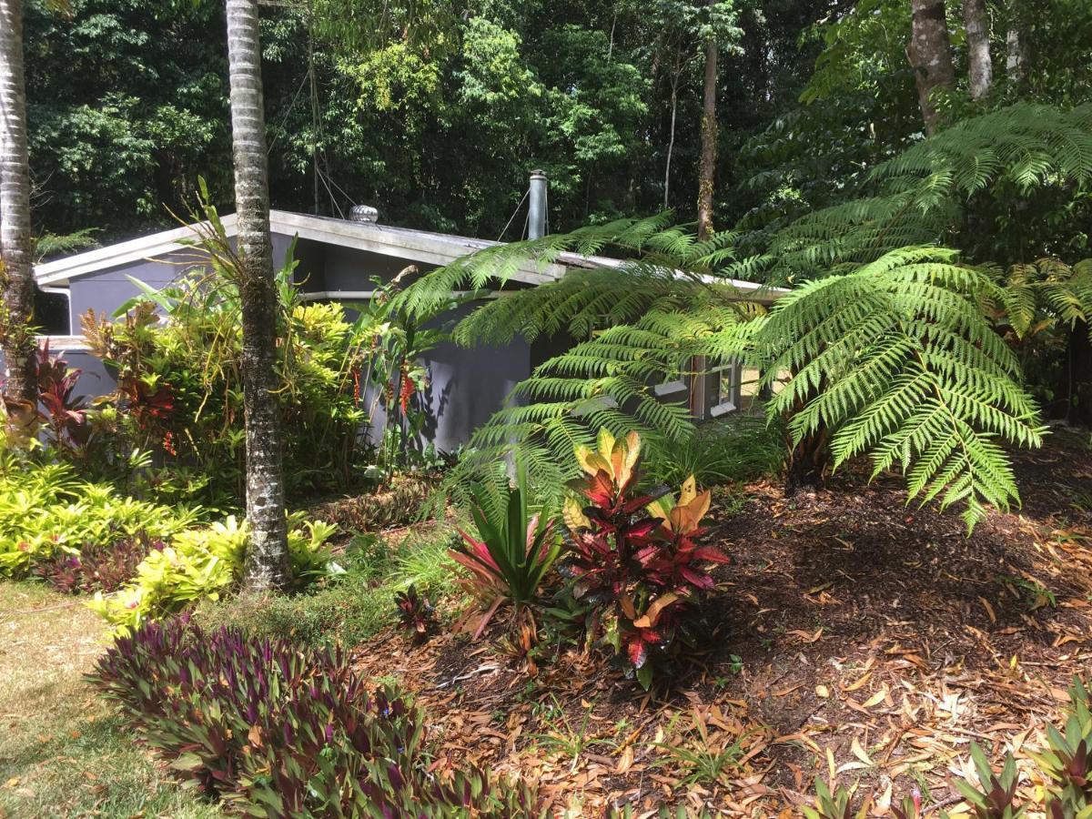 Honeybee House Villa Kuranda Dış mekan fotoğraf