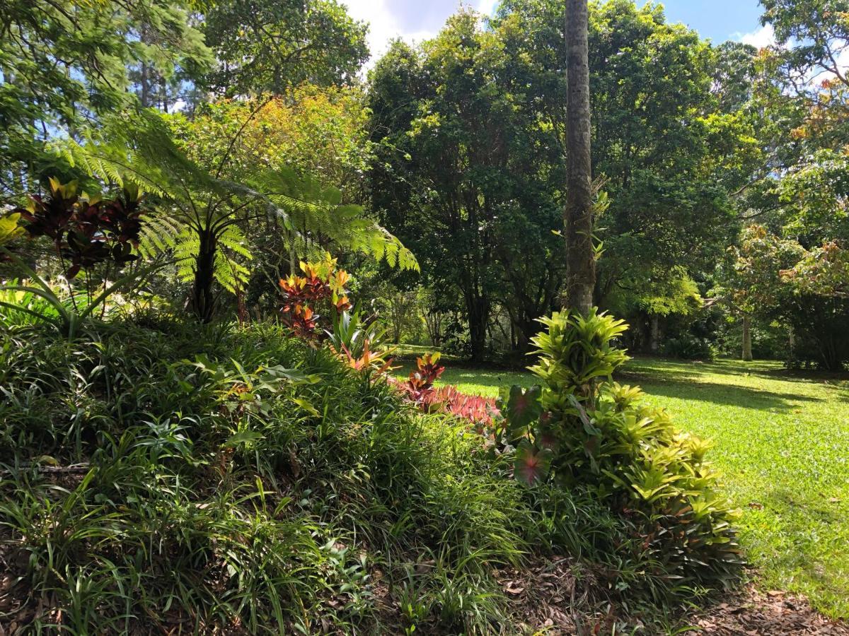 Honeybee House Villa Kuranda Dış mekan fotoğraf