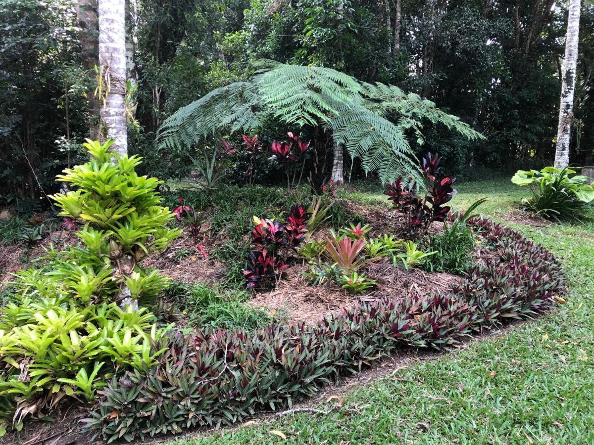 Honeybee House Villa Kuranda Dış mekan fotoğraf