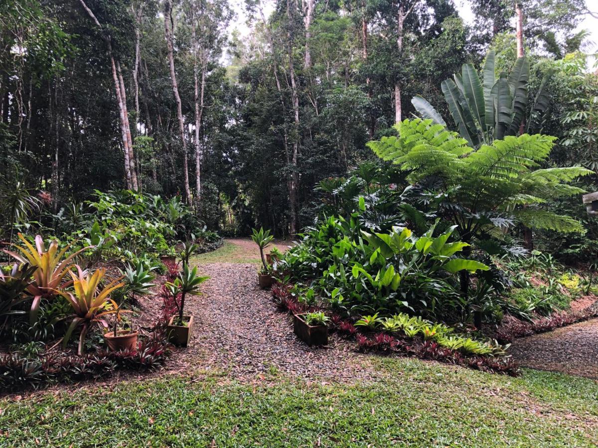 Honeybee House Villa Kuranda Dış mekan fotoğraf