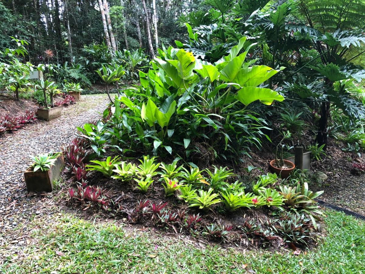 Honeybee House Villa Kuranda Dış mekan fotoğraf