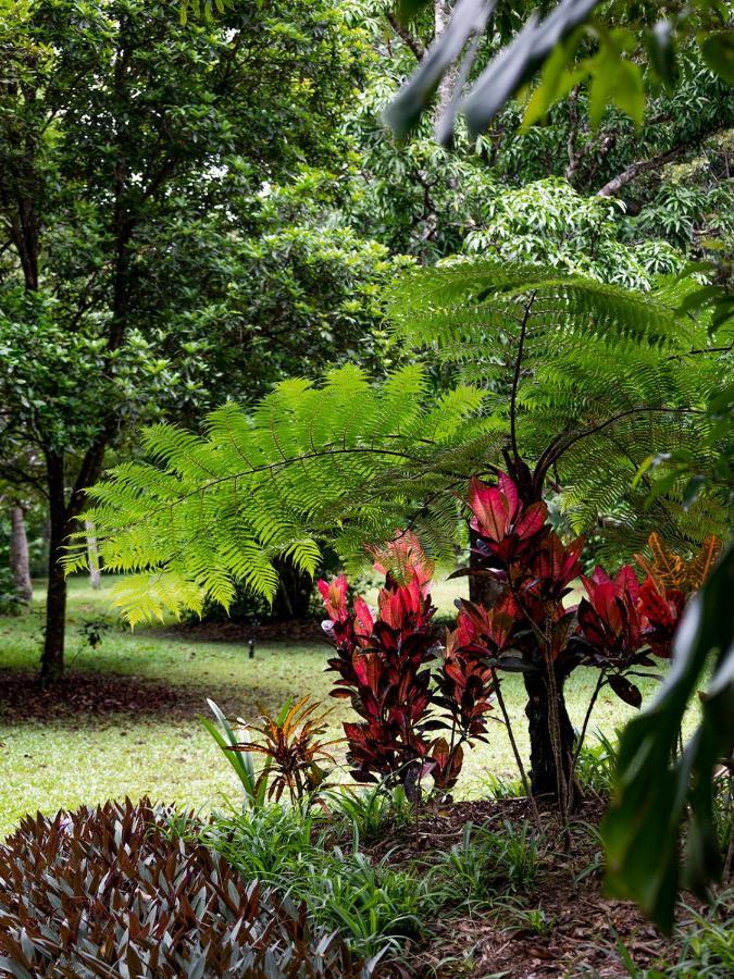 Honeybee House Villa Kuranda Dış mekan fotoğraf