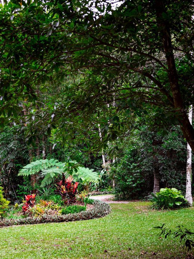 Honeybee House Villa Kuranda Dış mekan fotoğraf