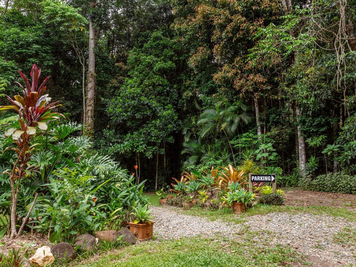 Honeybee House Villa Kuranda Dış mekan fotoğraf